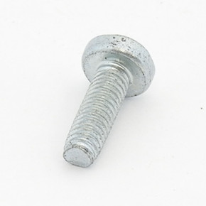 ALFRA 189622010 Screw