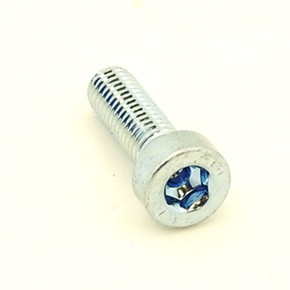 ALFRA RotaBest Cylinder head screw  [REPLACEMENT FOR PN 189020516]