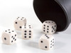 Generala con Dados Profesionales Classic Dices Game by Ruibal