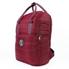 Celsius Matera Thermal Backpack Aspen Lightweight & Large Capacity Thermal Bag Laptop Backpack  (Various Colors Available)