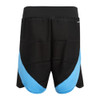 Adidas Authentic Argentina Home Black Shorts 24 AEROREADY Technology - Player Edition (Various Sizes Available)