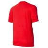 Puma Independiente Red T-Shirt Culture Aop Tee For Men Camiseta CAI Cultura Hombre
