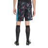 Adidas Selección Argentina Goalkeeper Home Shorts – Fan Version Climacool for Men FIFA World Cup 26