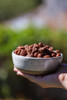 Brasil Frutt Caramelized Almonds, 130 g / 4.59 oz (pack of 3)