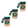 Brasil Frutt Amendoim sem Pele - Skinless Peanuts, 160 g / 5.64 oz (pack of 3)