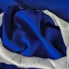 AFA Argentina Adult Fleece Sweatshirt Blue Crewneck Buzo de Frisa
