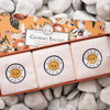 Giorno Bagno Orange Blossom & Vetiver Bar Soap Gift Set, 100% Plant-Based, 100 g / 3.53 oz (Kit of 3)