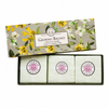 Giorno Bagno Verbena & Sandalwood Bar Soap, Vegan, 100 g / 3.53 oz (kit of 3)