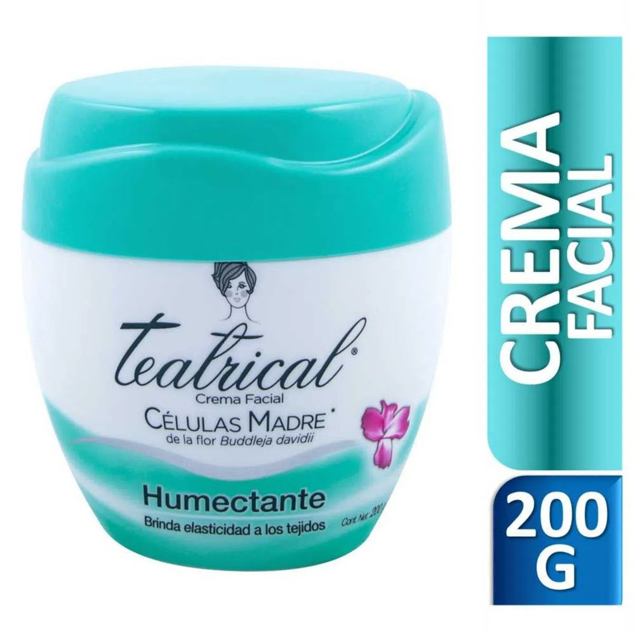 después de esto segundo lanzadera Teatrical Humectante Crema Facial Moisturizer Face Cream Provides  Elasticity, 200 g / 7.05 oz - Pampa Direct