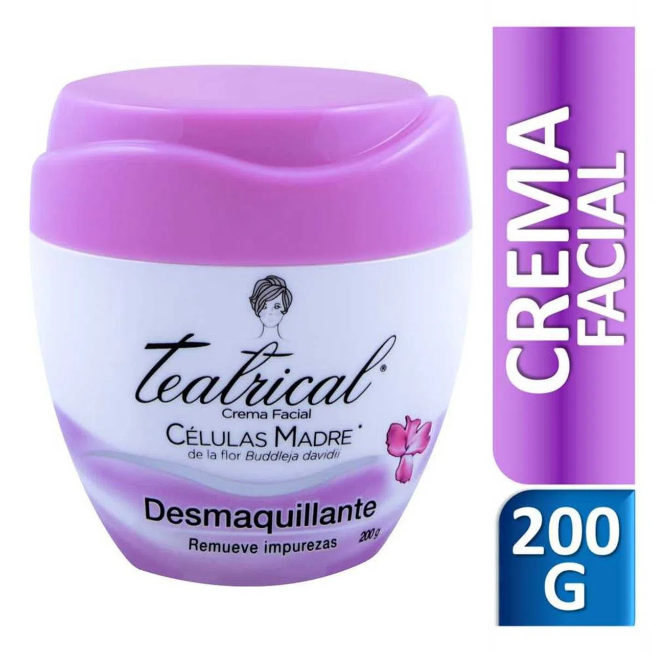Teatrical Desmaquillante Crema Facial Moisturizer Face Cream Removes  Impurities, 200 g / 7.05 oz