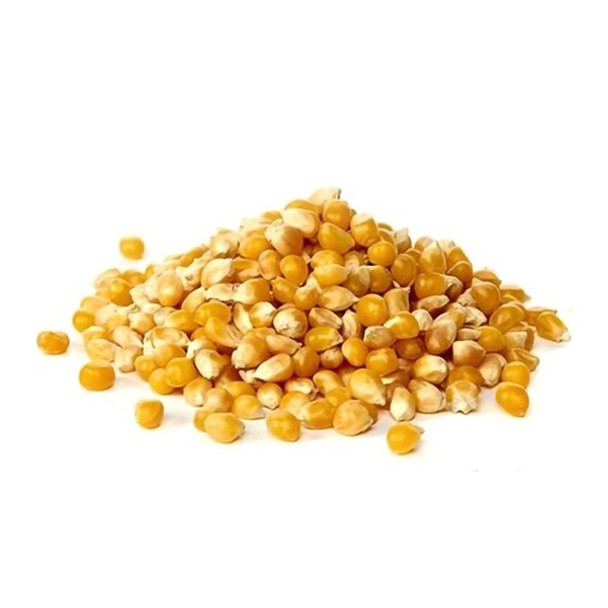 Maíz Pisingallo Yellow Corn Grains, 1 kg / 2.2 lb bag