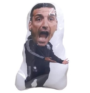 Almohadón Almohadita Lionel Scaloni Argentinian Football Technical Director Scaloni Funny Pillow Decor, 27 cm x 16 cm / 10.6" x 6.3"  