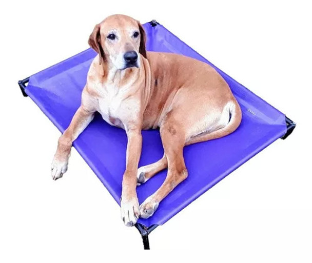 Mundo Lona Pet Cot Large Size Catre para Mascotas Tamaño Grande, 90 cm / 35.4 in x 75 cm / 29.5 in