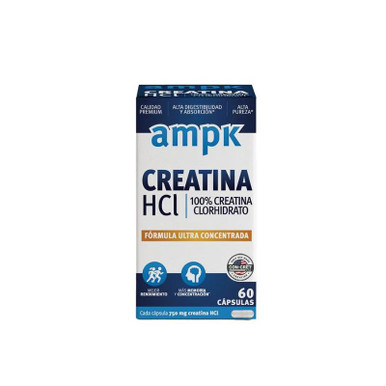 Ampk Creatine HCl 100% Hydrochloride Capsules Ultra Concentrated (box of 60  pills)