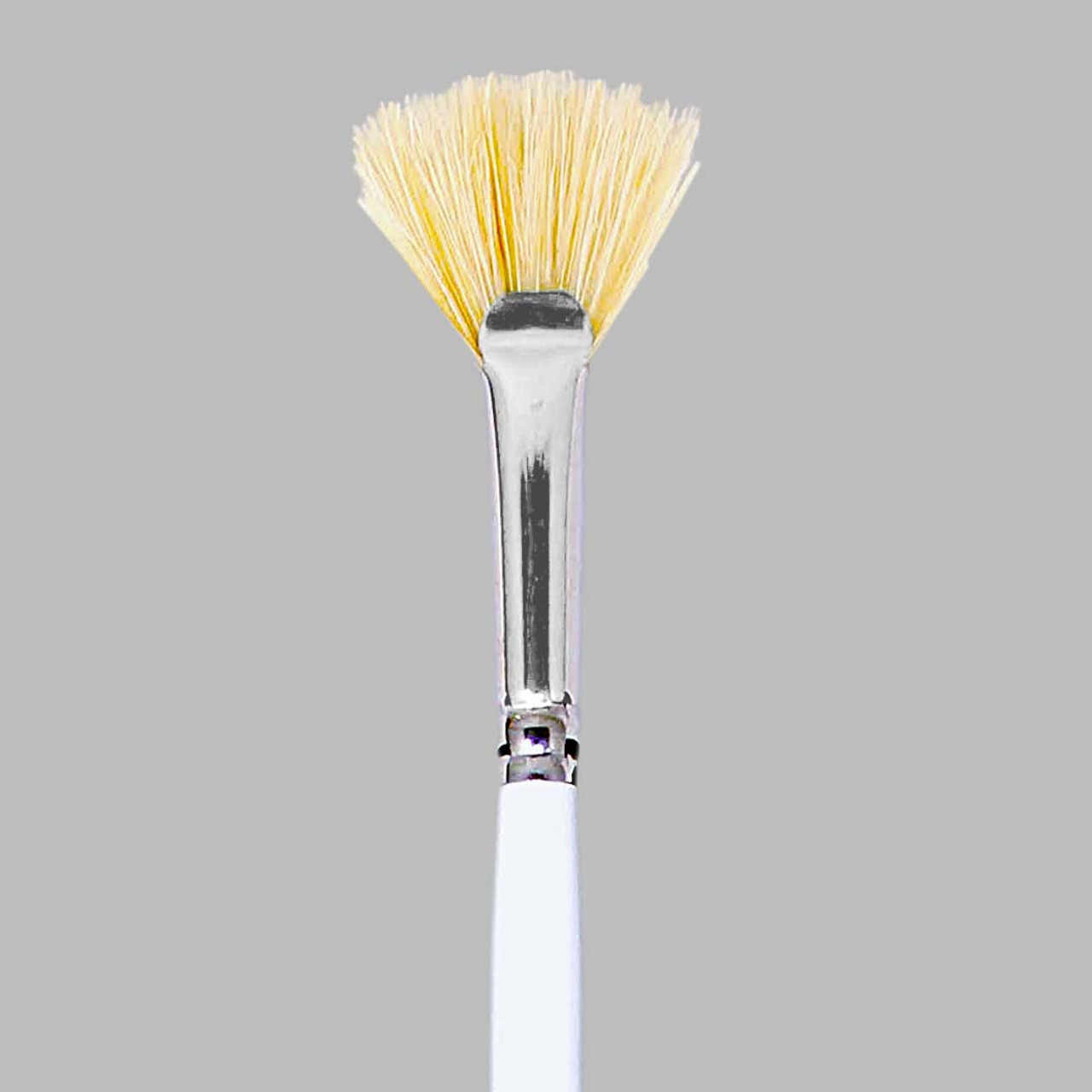 Fan Paint Brush