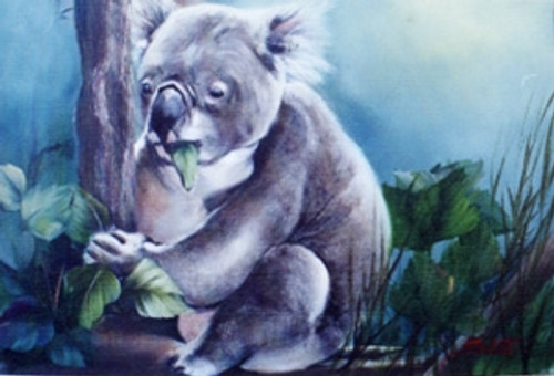 Hungry Koala