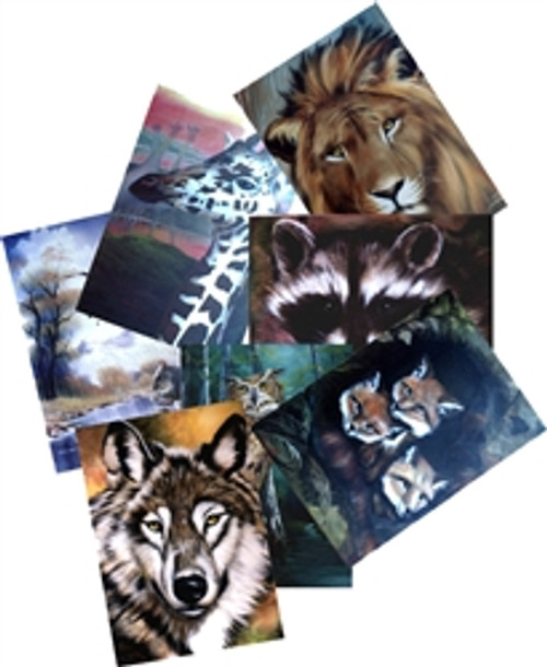 All Wildlife Packets