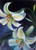White Lilies w/Border