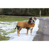 Carhartt Dog Chore Coat (In-Stock)