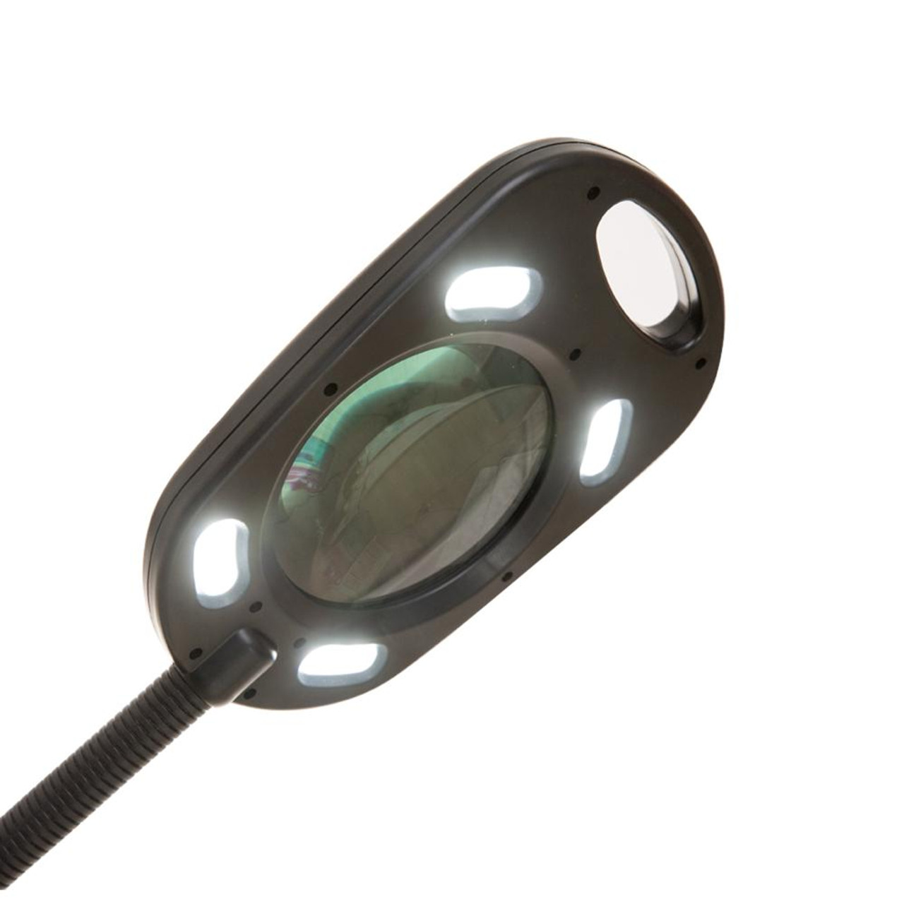 LED Floor Lamp with 4X Magnifier