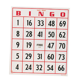 Image: large bingo card
