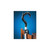 Large Cane Hook