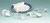 Food Bumper Translucent Plastic