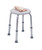Adjustable Shower Stool