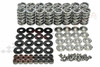 Brian Tooley BTR Stage 4 NA Cam LS1 LS2 LS6 5.7 6.0 5.3 Camshaft Kit