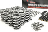 BTR LS7 Platinum .660" Dual Spring Kit with Titanium Retainers 7.0L ZO6 Z28 Brian Tooley