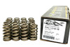 PAC Racing Springs PAC-1218 .600" lift 1.290 Valve Springs -Ovate Beehive QTY 16