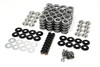 BTR Gen V Platinum LT4 .660" Dual Spring Kit with Titanium Retainers for Gen V LT4 Corvette Camaro CTS-V Brian Tooley