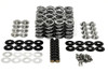 BTR Gen V Platinum LT4 .660" Dual Spring Kit with Titanium Retainers for Gen V LT4 Corvette Camaro CTS-V Brian Tooley