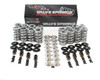 BTR Brian Tooley LS3 Stage 2 Naturally Aspirated V1 Camshaft 6.2L 6.0L L99 L76 L77 Cam Kit