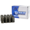 Michigan Motorsports .550 lift Beehive LS6 Valve Springs and Seals Fits 4.8 5.3 6.0 6.2 LS1 LS2 LS3 LS6 LQ4 LQ9 replaces 12713265