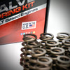 Texas Speed .585" LT Beehive Valve Springs 2014+ LT1 LT4 L83 L86 L84 L87 L8T L82 L8B 5.3L 6.2L 6.6L TSP Spring Kit