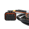Holley J2A Auxiliary Input Harness for Dominator EFI 558-401