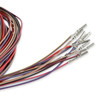 Holley J2A Auxiliary Input Harness for Dominator EFI 558-401