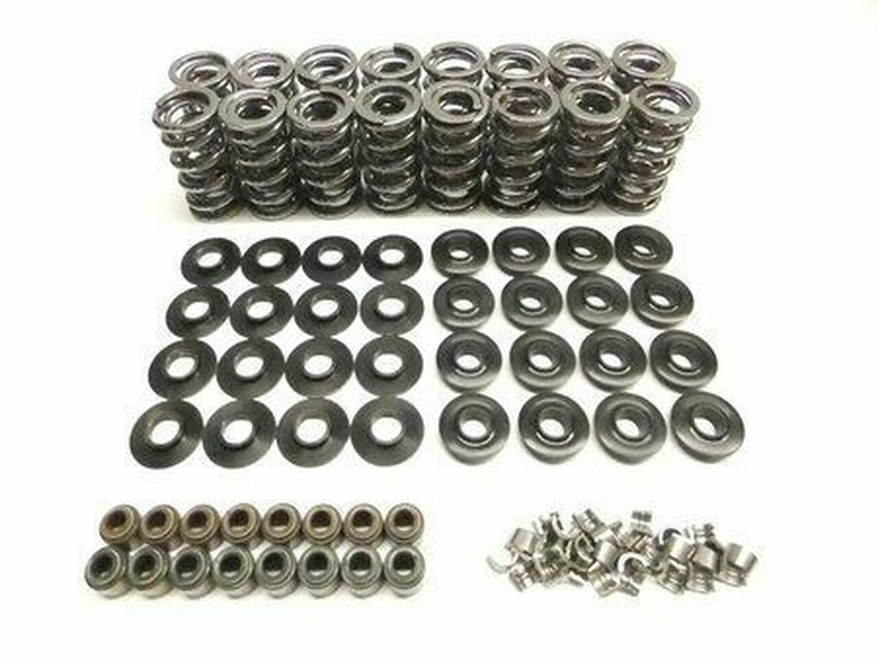 BTR LS7 Platinum .660" Dual Spring Kit With Steel Retainers 7.0L Z06 Z28 Brian Tooley