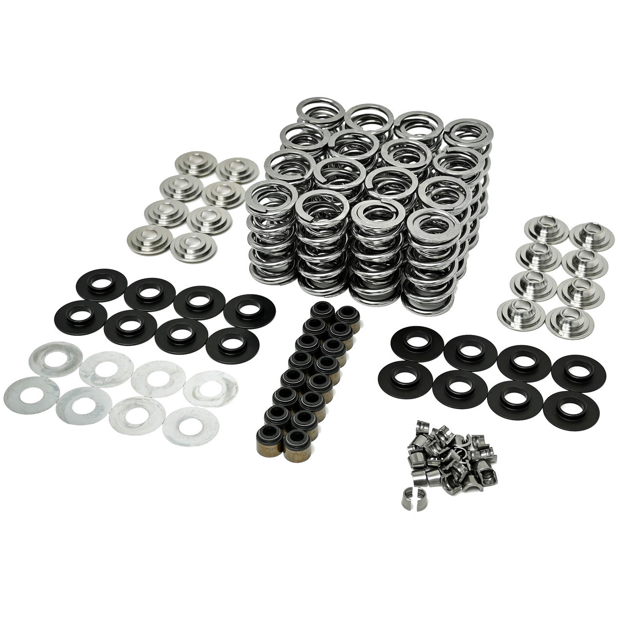 BTR Gen V Platinum LT4 .660" Dual Spring Kit with Titanium Retainers for Gen V LT4 Corvette Camaro CTS-V Brian Tooley BTR Gen V Platinum LT4 .660" Dual Spring Kit with Titanium Retainers for Gen V LT4 Corvette Camaro CTS-V Brian Tooley