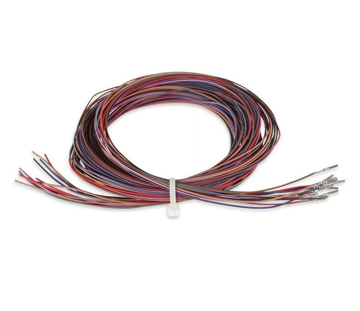 Holley J2A Auxiliary Input Harness for Dominator EFI 558-401
