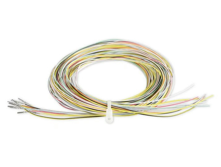 Holley J2A Auxiliary Input Harness for Dominator EFI 558-401