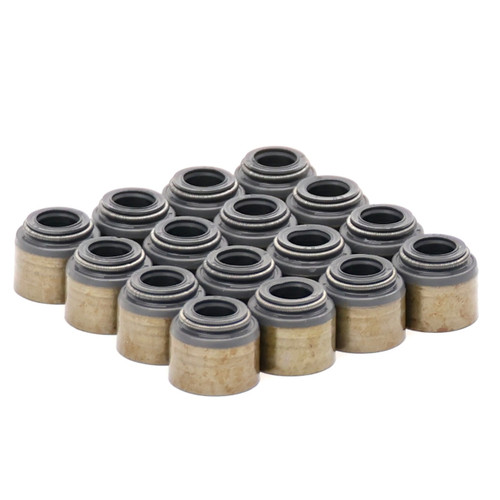 Brian Tooley Racing LS Valve Seal Kit Fits 4.8 5.3 5.7 6.0 6.2 with Dual Valve Springs LS1 LS2 LS3 Brian Tooley Racing LS Valve Seal Kit Fits 4.8 5.3 5.7 6.0 6.2 with Dual Valve Springs LS1 LS2 LS3