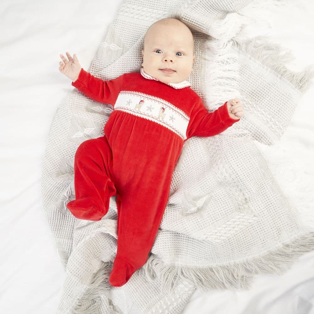 Dandelion Reindeer Smock Sleepsuit AX2532