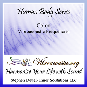 Inner Soulutions VAT Frequencies - Colon