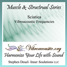 Origin of The Muscle & Structure VAT Frequencies 