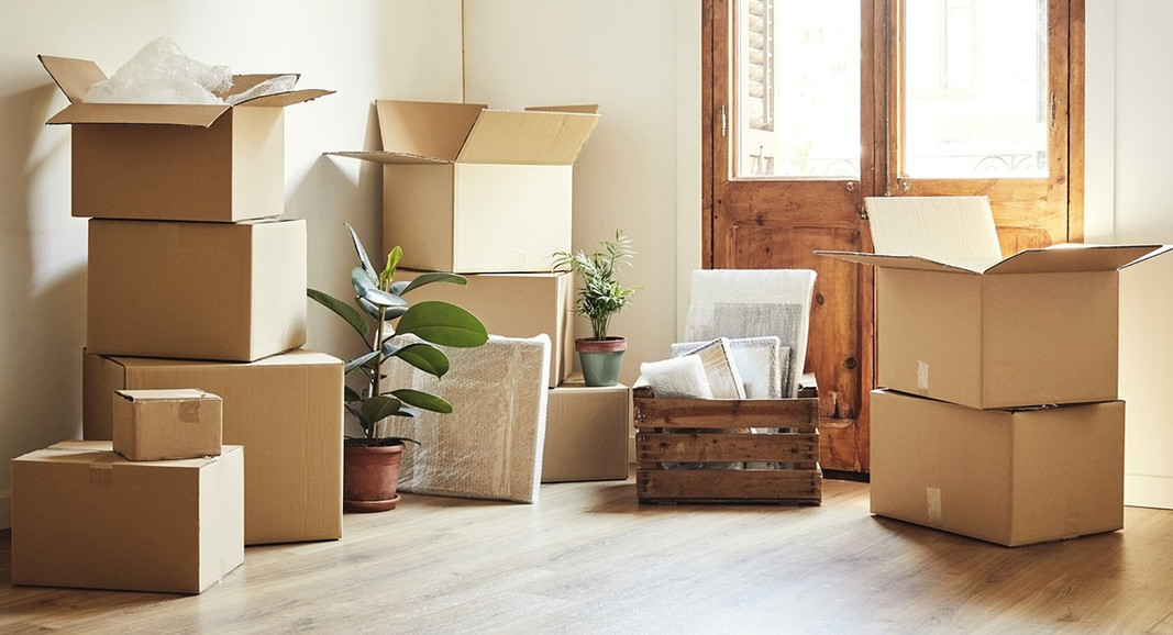 Important Things to Buy When You Move Homes