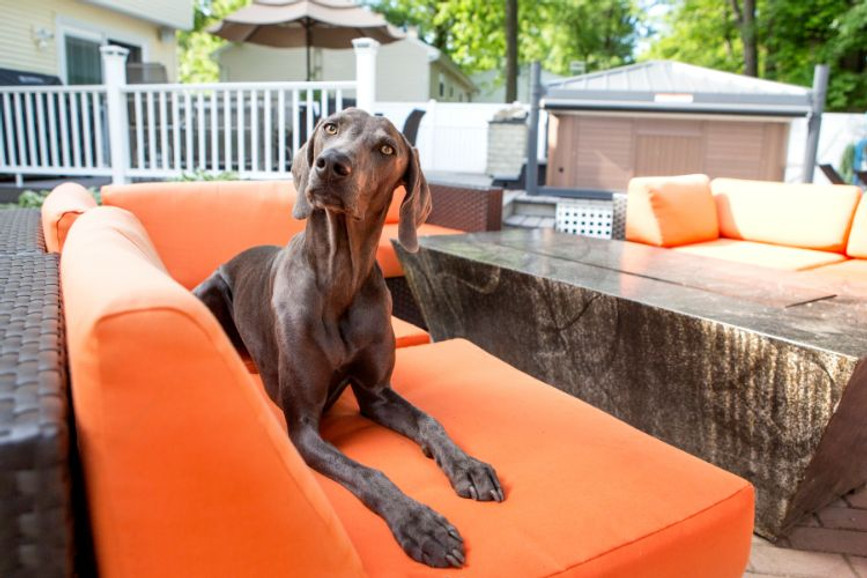 Family First: Navigating the Landscape of Patio Furniture for a Home Buzzing with Kids and Pets