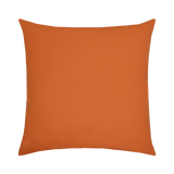 CANVAS ESSENTIALS PILLOW 22" X 22"