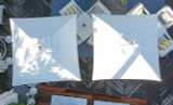 Ledge Lounger: ESSENTIAL POOLSIDE UMBRELLA from top view